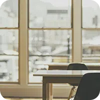 Windows Company Bellevue WA  425-549-3050